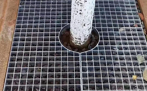 樹池蓋板案例